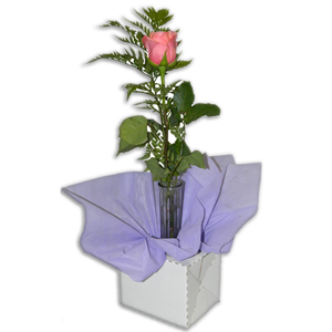Bud Vase (50 per carton)